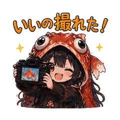 Kingyo Kaburi Hime-chan - Photo Life