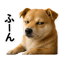 Cold Eyes Dog Stickers
