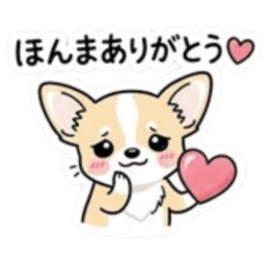 Everyday Kansai Dialect Chihuahua