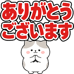 Poteko BIG Text Keigo 40