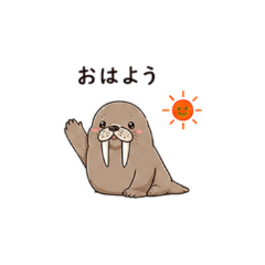 Walrus Daily Stickers
