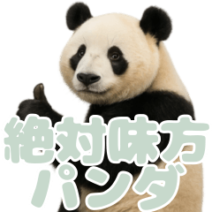 Friendly Panda : 23 Mint Gray