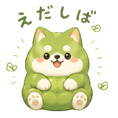 毛豆柴犬的日常