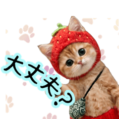Fluffy Knit Strawberry Cat[part.1]