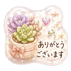Succulent Polite Replies