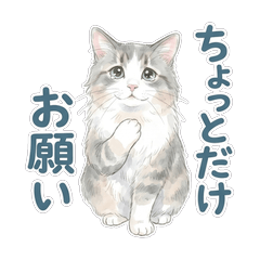 Little Favors Watercolor Cat Stickers