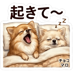 Choco and Maro Cute Stickers Vol01