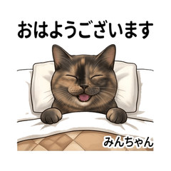 Minchan Lovely Daily Stickers Vol01