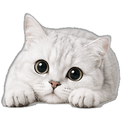 Meow! Emotion Cat Stickers