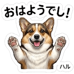 Haru Corgi Dog Stickers Vol01