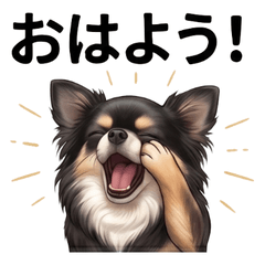 My Pet Cute Stickers Vol01