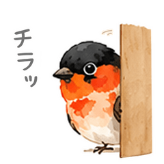 Bird Stickers for Taking Life Easy2