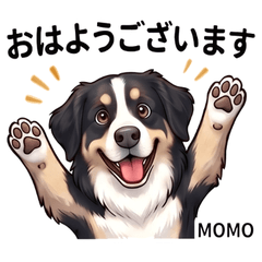 Momochi Cute Fun Stickers Vol01