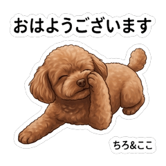 Chiro Coco Cute Stickers Vol01