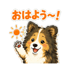 Happy Sheltie Chat