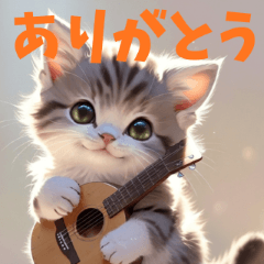 Cat and acoustic guitar 5 basic