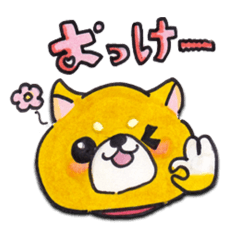 shubainu_kurumi_1