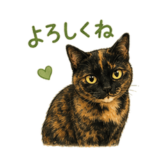 Noranyan Biyori Mame-chan vol.1
