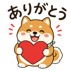 Shibamaru the Chubby Shiba