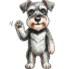 Everyday Greetings: Miniature Schnauzer