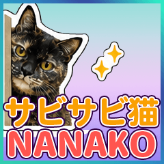 Tortoiseshell cat The "NANAKO" so cute.9