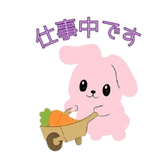 A sweet, fluffy bunny1.0