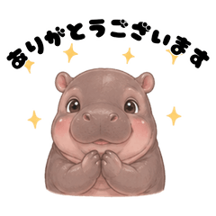Baby Pygmy Hippo | Gentle Office Life