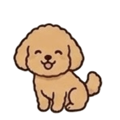 Fluffy Toy Poodle: The Perfect Replier
