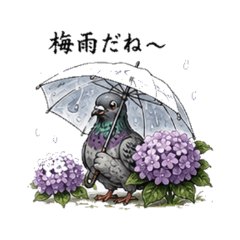 Rainy Season Pigeons