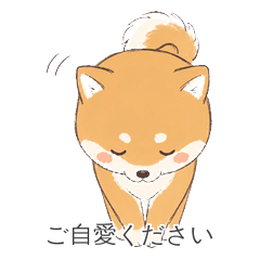 Cute Animal Stickers Saying "Take Care"