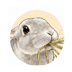 Rabbit & Tree Frog Days