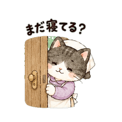 Cat Mom Daily Nagging & Morning Scenes
