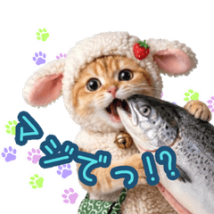 Fluffy Knit Cat [Part.2]