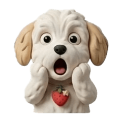 Cute dog LoLo