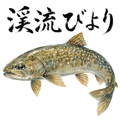 Iwana the Char