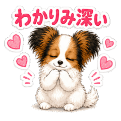 Mugi the Papillon skilled at nod along