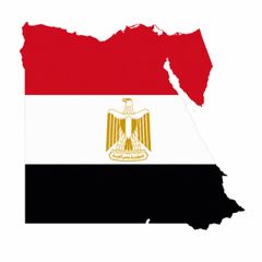 Egyptian map with flag design