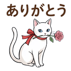Elegant Cat Daily Conversations
