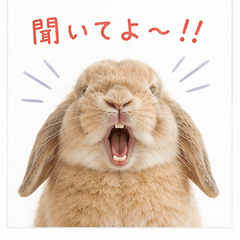 Grumpy rabbit stickers
