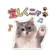 Aria - Daily Chat Stickers