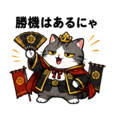 Lazy Cat General