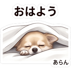 Aran Cute Daily Stickers Vol01