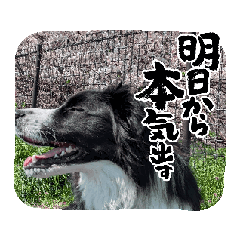 oridoon_20260518103940