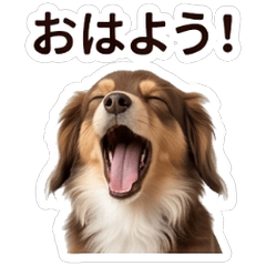 Asahi Chiweenie Daily Stickers Vol01