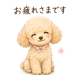 Toy Poodle Polite Business Keigo