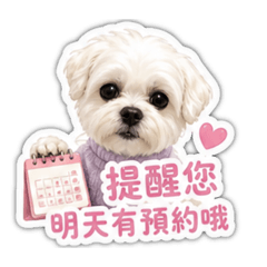 美髮語錄Q寶寶