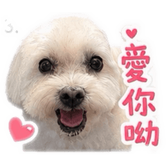 球寶日常:)