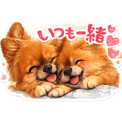 izumi_20260515101656