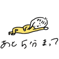 RIPPY_20260504204002