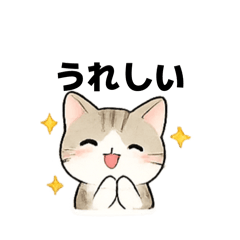 Chako_20260515101750